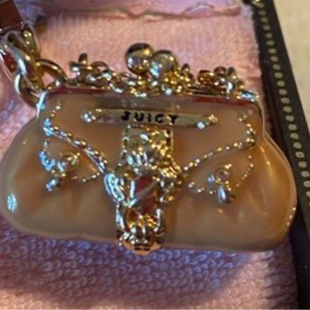 Juicy Couture RARE Pink Status handbag
